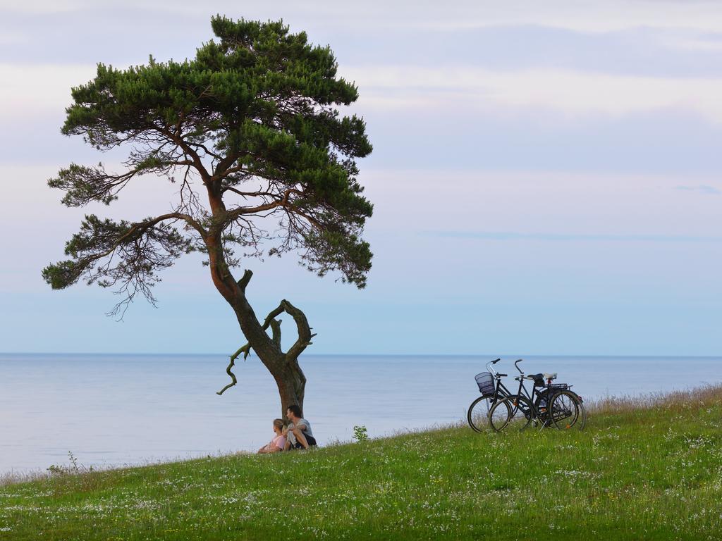 Kuskahusen Vandrarhem Andrarum-Brosarp Exterior foto